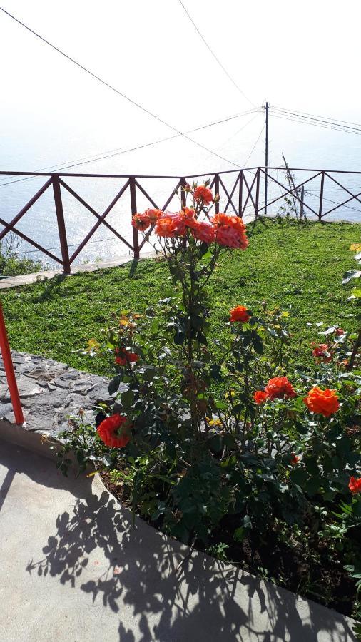 Casa Villa Dinastia Sotao Y Casa Villa Dinastia Miramar Ribeira Brava Ngoại thất bức ảnh