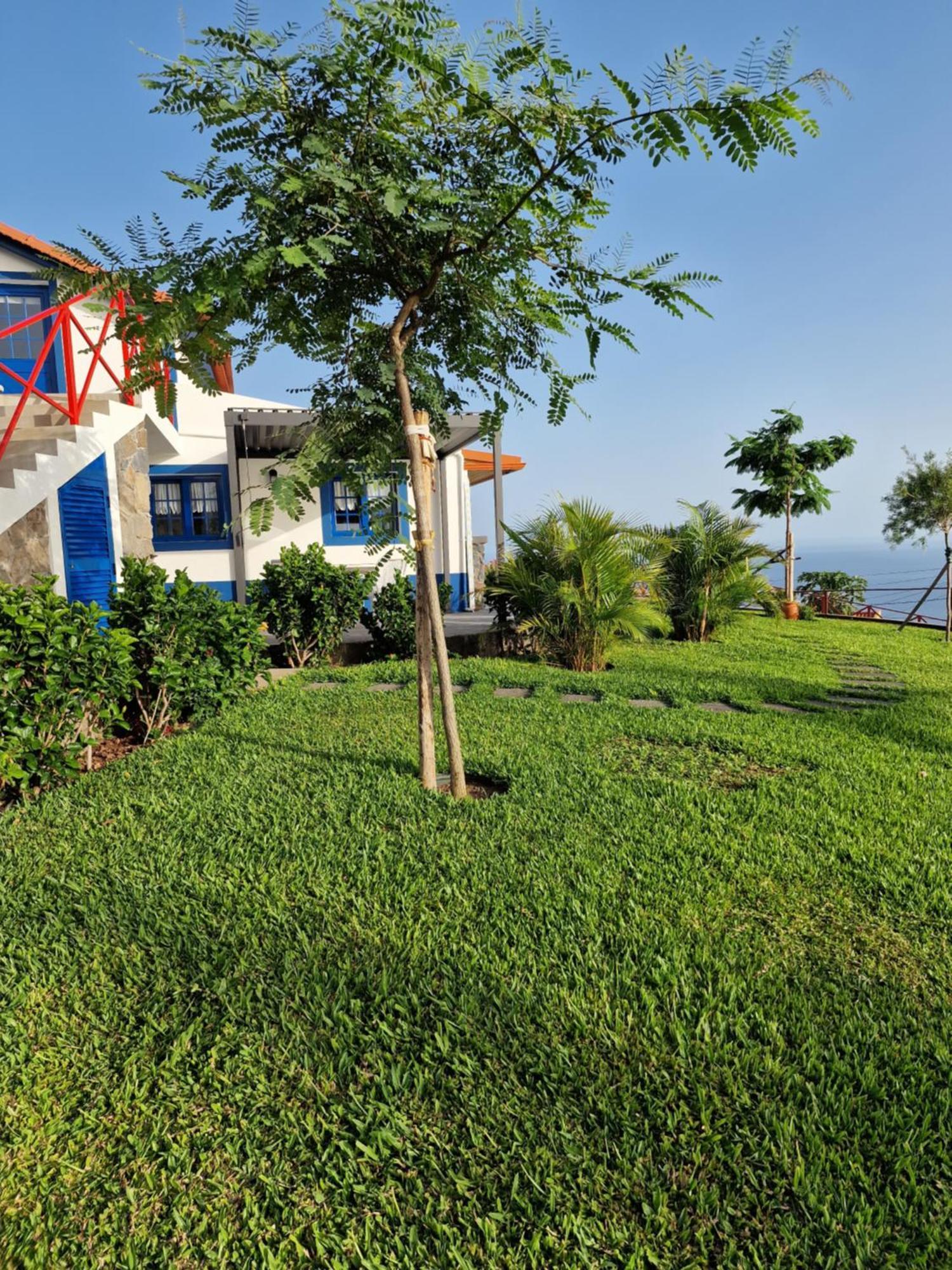 Casa Villa Dinastia Sotao Y Casa Villa Dinastia Miramar Ribeira Brava Ngoại thất bức ảnh