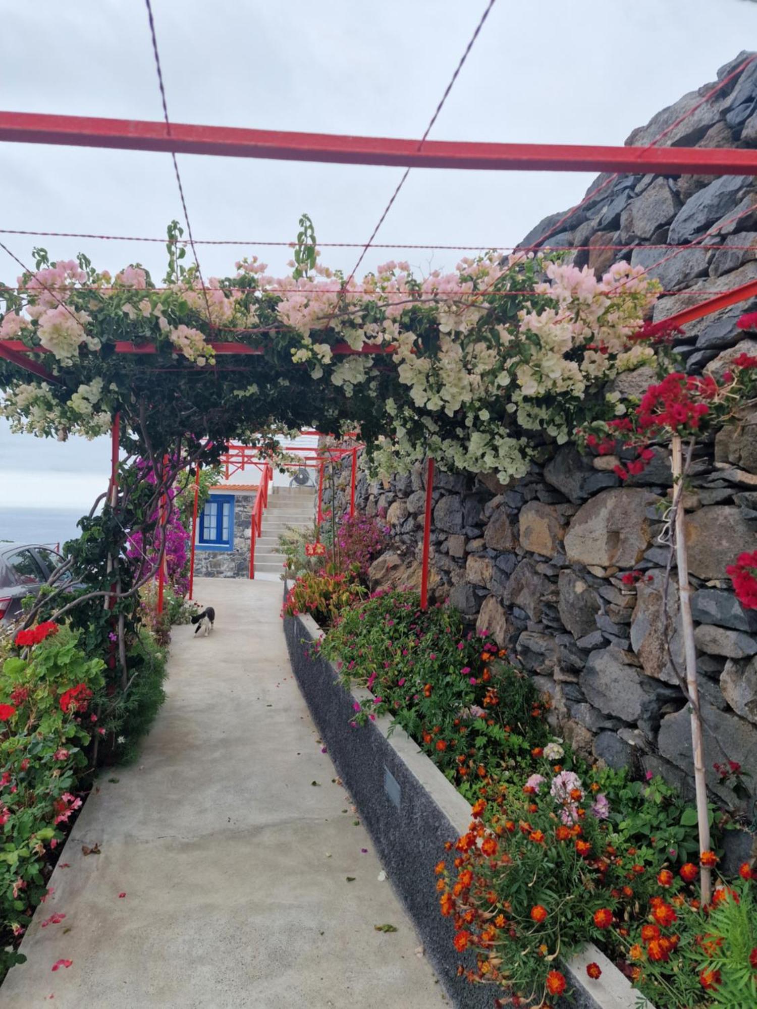 Casa Villa Dinastia Sotao Y Casa Villa Dinastia Miramar Ribeira Brava Ngoại thất bức ảnh